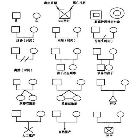 家族樹 離婚